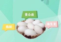 孕期吃鹅蛋有什么好处（孕期吃鹅蛋有什么好处和坏处）