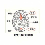 胎儿颅骨缺失会长好吗（颅骨缺损属于几级伤残）