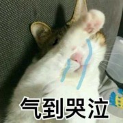 孕期被气哭（月经期老公怎是和我吵架,每次我都被气哭半天,这下去我身体会不会出现问题）