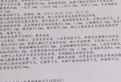 胎儿主动脉大于肺动脉（胎儿肺动脉与主动脉内径比例偏小是什么意思）