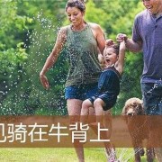 孕期梦见牛（一个人骑在牛背上由哪八个字组成）