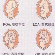 孕36周每次左侧宝宝动不停是为何,胎儿在左侧动是什么胎位