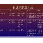 胎盘增厚对胎儿有什么影响（孕期胎盘厚度标准对照表）