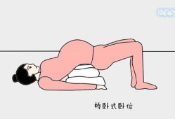 胎儿腹壁运动（胎儿腹壁运动什么意思）