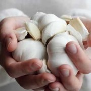 孕妇吃大蒜对胎儿有影响吗（我想吃大蒜苗，请问孕妇可以吃大蒜苗吗）