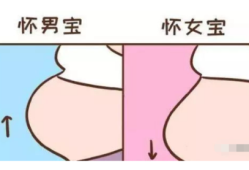 孕期很灵活（孕期很灵活是男是女）