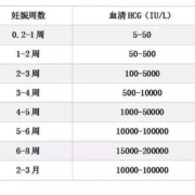 hcg高是怎么回事,孕期激素高是怎么回事