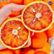 孕妇吃橙子胎儿会黄吗（孕妇一天吃几个橙子最好?）