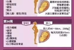 古代女人怀孕时的样子,孕期生理变化特点图片