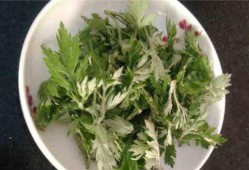 孕期可以吃艾草吗（孕期可以吃艾草吗冬天）