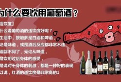 男性备孕期间喝红酒（想要生宝宝了，正在备孕期间，但是喝了葡萄酒，还可以要小孩吗）