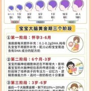 胎儿几个月开始发育大脑（胎儿几个月开始发育大脑智力）