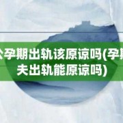 孕期出轨可以原谅吗（孕期出轨可以原谅吗?孩子都打掉了）