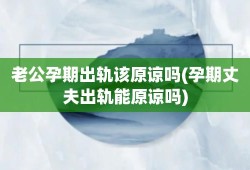 孕期出轨可以原谅吗（孕期出轨可以原谅吗?孩子都打掉了）