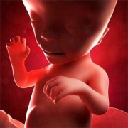怀孕16周胎儿应该多大,十六周胎儿的发育图片大全