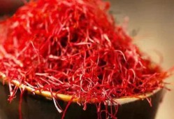 备孕期可以喝藏红花吗（准备怀孕了，能喝藏红花吗）