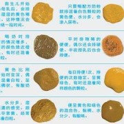 胎儿的胎粪怎么排出，用什么方法好呢,胎儿的粪便在母体内排哪