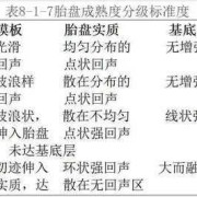 胎儿成熟度2级（胎儿成熟度2级什么意思）