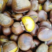 孕妇吃糖炒栗子对胎儿好吗（糖炒栗子的寓意）