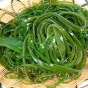 孕期可以吃海带吗（怀孕吃海带好吗）