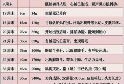 怀孕36周宝宝一般几斤,36周胎儿体重怎么计算公式