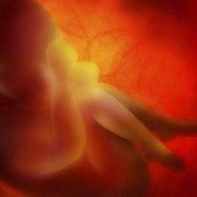 怀孕15周胎儿发育情况（怀孕15周胎儿发育情况图片）
