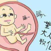 胎儿踢肚子（胎儿踢肚子是什么感觉）