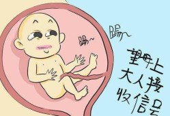 胎儿踢肚子（胎儿踢肚子是什么感觉）