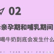 孕期牛奶喝多少（孕期不能喝牛奶）