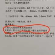 胎儿左心室强光点是什么意思（胎儿左心室强光斑是什么意思）
