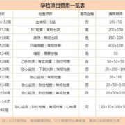 产检费用的明细清单,孕期检查清单列表