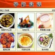 孕妇易消化菜谱,孕期养胃食谱大全图片