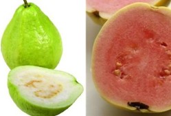 孕期能吃番石榴吗（孕妇血糖高可以吃番石榴吗）