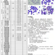 胎儿基因突变（CEBPA基因突变是什么）