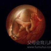 8个月胎儿（8个月胎儿有多重）