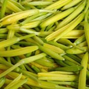 孕妇能不能吃黄花菜啊？快三个月了，孕期有哪些饮食禁忌,孕期头三个月注意事项和禁忌