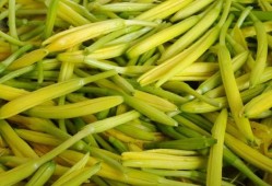 孕妇能不能吃黄花菜啊？快三个月了，孕期有哪些饮食禁忌,孕期头三个月注意事项和禁忌