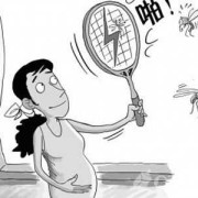 孕期招蚊子（孕妇能闻蚊香吗？日常上如何防蚊合适）