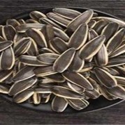 孕晚期可以吃瓜子吗,孕期可以吃瓜子吗吃多少
