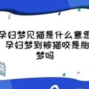 猫怕孕妇是怎么回事,孕期梦见猫是胎梦吗