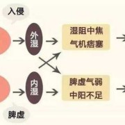 怀孕期间下体流黄水正常吗（怀孕八个月内裤总是湿湿的像水打湿了一样是什么东西）