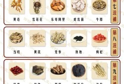 孕期吃什么补品好（孕妇吃的十大滋补品排行）