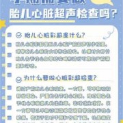 胎儿心脏彩超注意事项（胎儿心脏彩超注意事项有哪些）