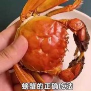 备孕期可以吃螃蟹吗（备孕期可以吃螃蟹吗女性）