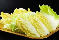 孕期吃白菜好吗（九个月宝宝可以吃大白菜吗）