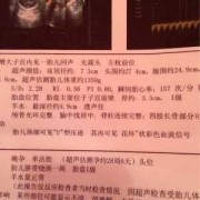 胎儿颈部可见u血流（胎儿颈部可见u血流是什么意思）