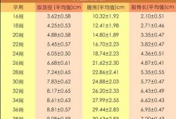 22周的宝宝发育好了吗,22周胎儿体重多少正常范围