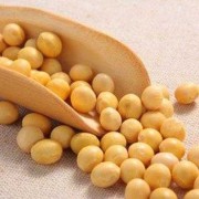 十个月宝宝可以吃黄豆吗,孕妇吃黄豆对胎儿好吗