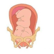 感觉胎儿往下钻多久生（感觉胎儿往下钻多久生）