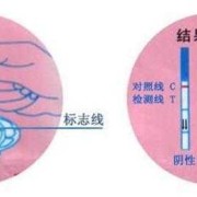 测胎儿孕龄（测胎龄是什么意思）
